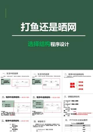 一、认识双分支结构程序