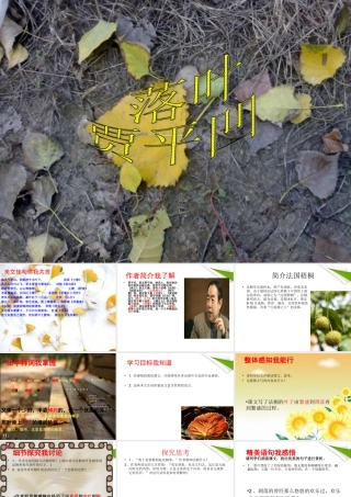 七年级语文上册(落叶)教学课件 北师大版 课件