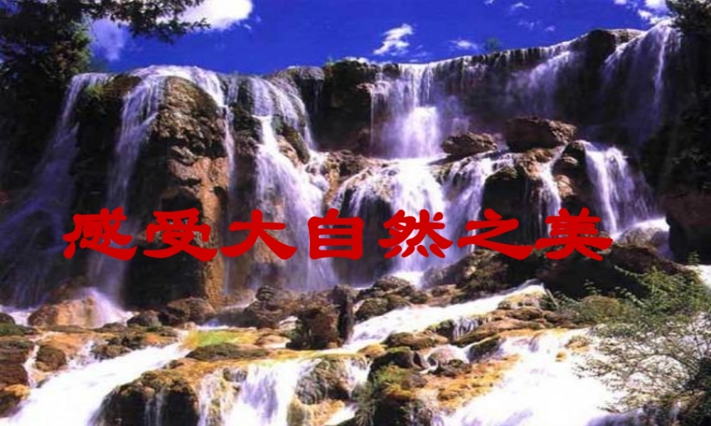 八年级政治下册 感受大自然之美课件 鲁教版 课件