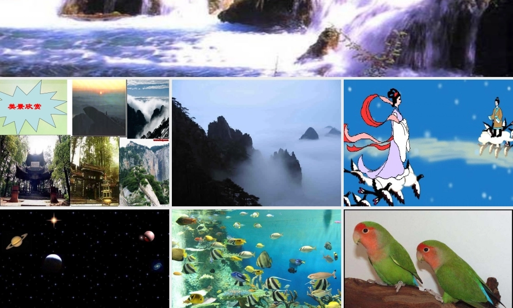 八年级政治下册 感受大自然之美课件 鲁教版 课件