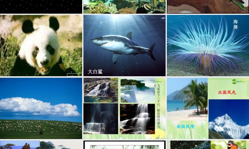 八年级政治下册 感受大自然之美课件 鲁教版 课件