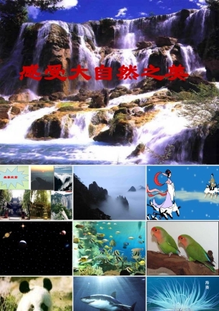 八年级政治下册 感受大自然之美课件 鲁教版 课件