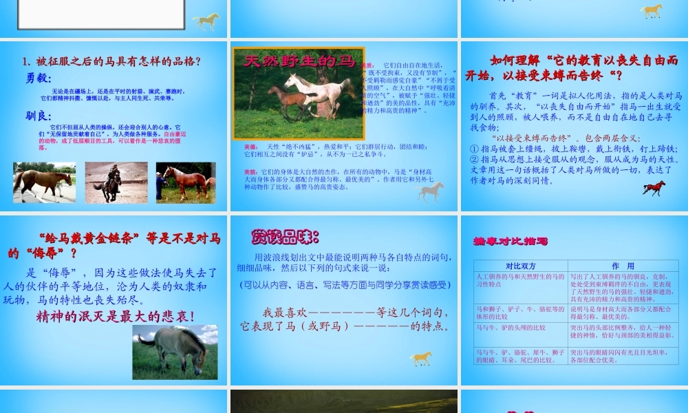 中学七年级语文下册 6.29 马课件 新人教版 课件