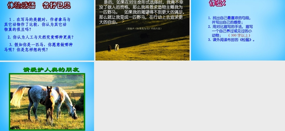 中学七年级语文下册 6.29 马课件 新人教版 课件