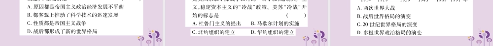 中考历史复习 第二篇 知能综合提升 专题突破6 两次世界大战与国际关系的演变课件