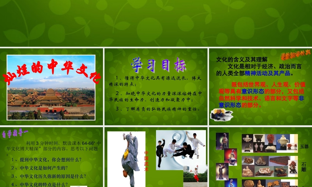 九年级政治全册 第五课 第一框 灿烂的中华文化课件 新人教版 课件