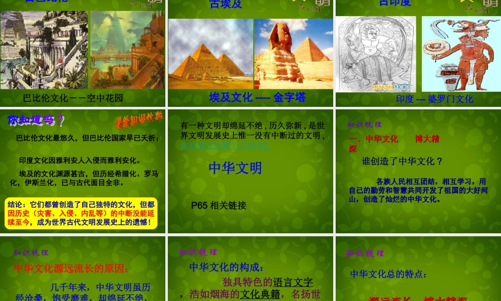 九年级政治全册 第五课 第一框 灿烂的中华文化课件 新人教版 课件