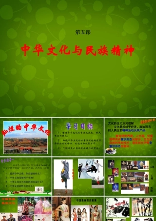 九年级政治全册 第五课 第一框 灿烂的中华文化课件 新人教版 课件