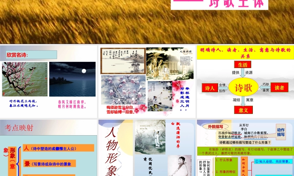 形象——诗歌主体(修改)