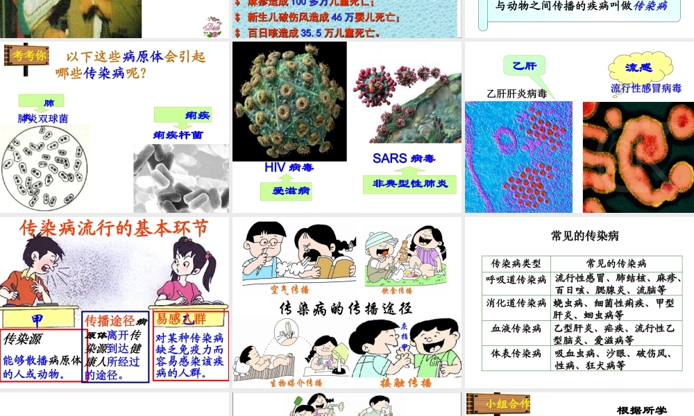 传染病及其预防 (3)