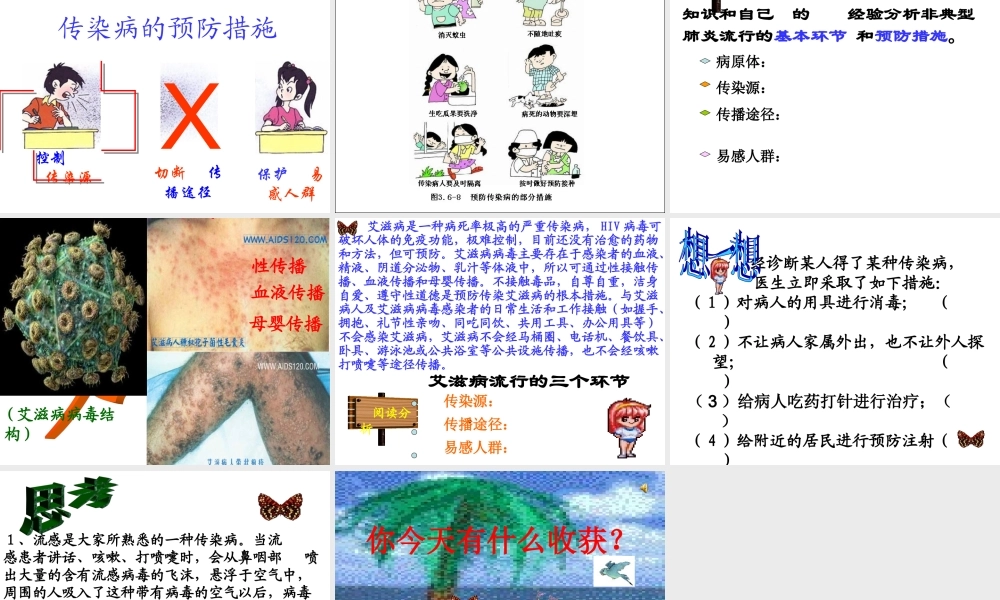 传染病及其预防 (3)