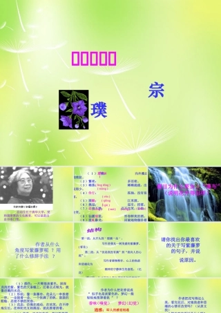 中学七年级语文上册 16 紫藤萝瀑布课件 (新版)新人教版 课件