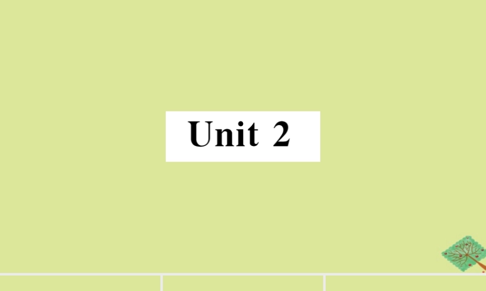 八年级英语上册 Module 11 Way of life Unit 2 In England，you usually drink tea with milk(小册子)作业课件 (新版)外研版 课件