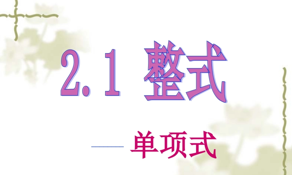 单项式.1.1-单项式课件--.