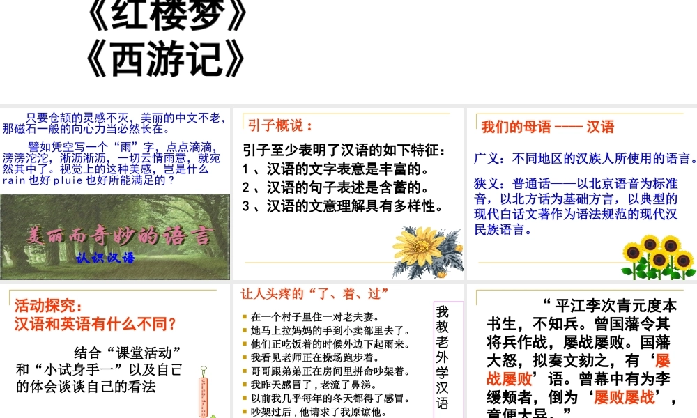 《美丽而奇妙的语言》