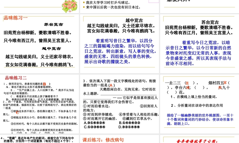 《美丽而奇妙的语言》