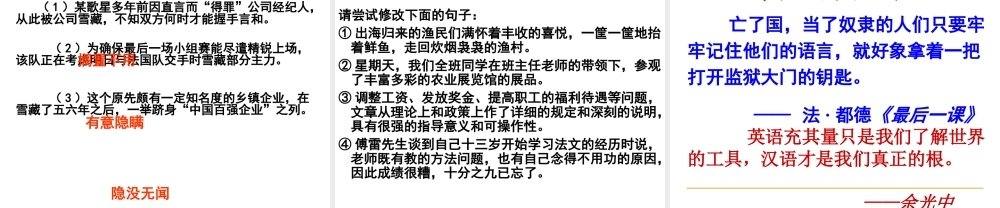 《美丽而奇妙的语言》