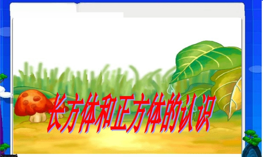 六年级上册长方体和正方体的认识