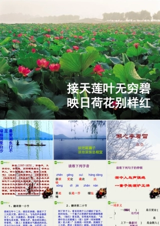 八年级语文下册(湖心亭看雪)课件 鄂教版 课件