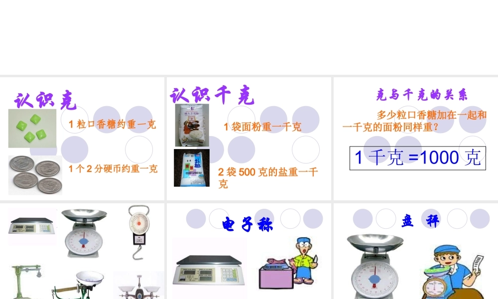 小学数学人教2011课标版二年级克与千克-(2)