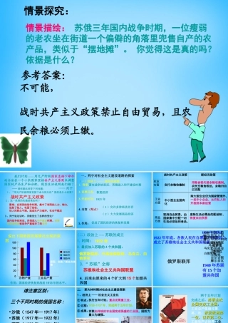 九年级历史下册 第2课(对社会主义道路的探索)课件 新人教版 课件