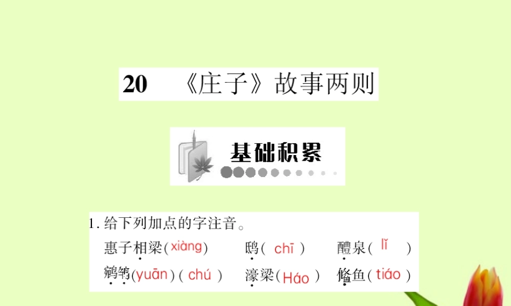 九年级语文下册 第五单元第庄子故事两则)课件 人教新课标版 课件