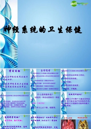 七年级生物下册 第三单元第五章第五节神经系统的卫生保健课件 济南版 课件