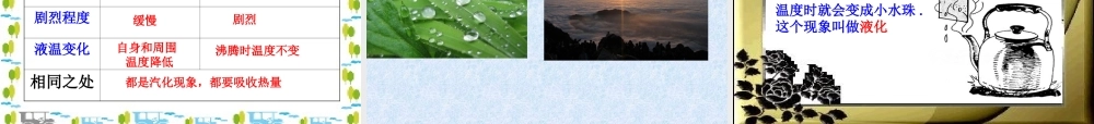《4.2-探究汽化和液化的特点》课件1