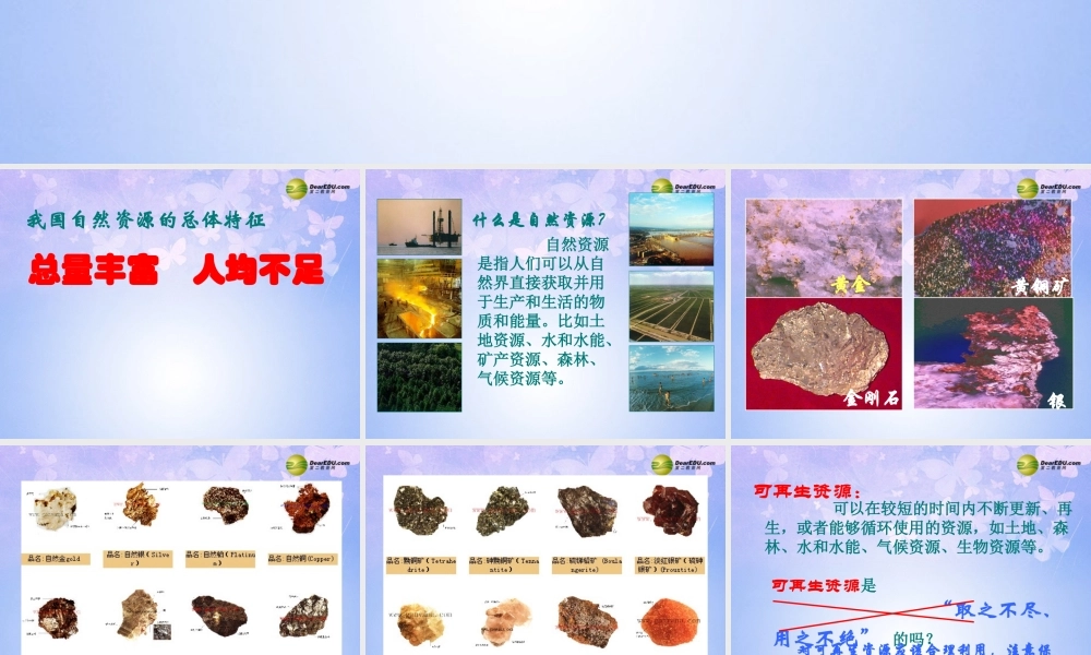 八年级地理上册 第三章 第一节 自然资源总量丰富人均不足课件 新人教版