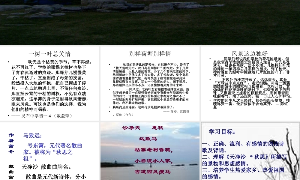 初中语文七年级下天净.沙秋思 人教版 课件