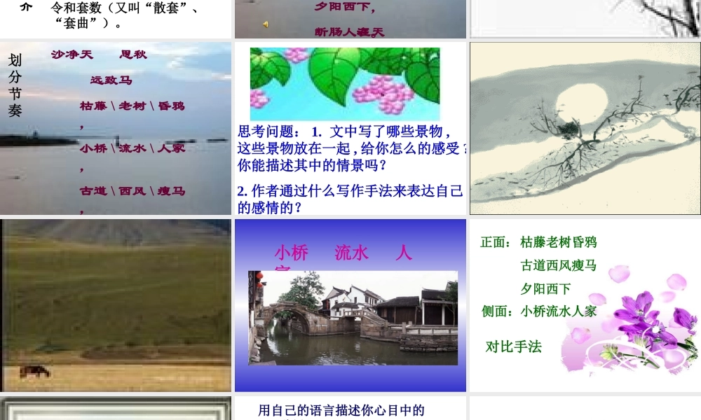 初中语文七年级下天净.沙秋思 人教版 课件