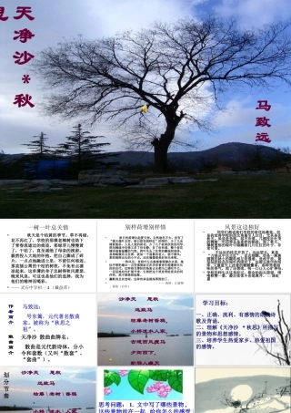 初中语文七年级下天净.沙秋思 人教版 课件