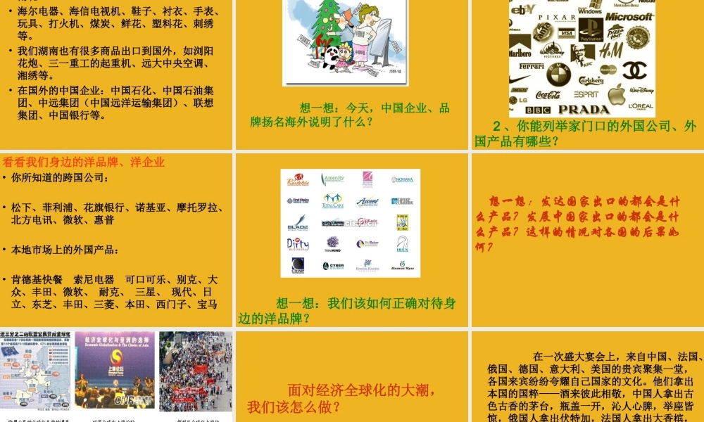 九年级政治 第一课(生活在地球村)三课件 人民版 课件