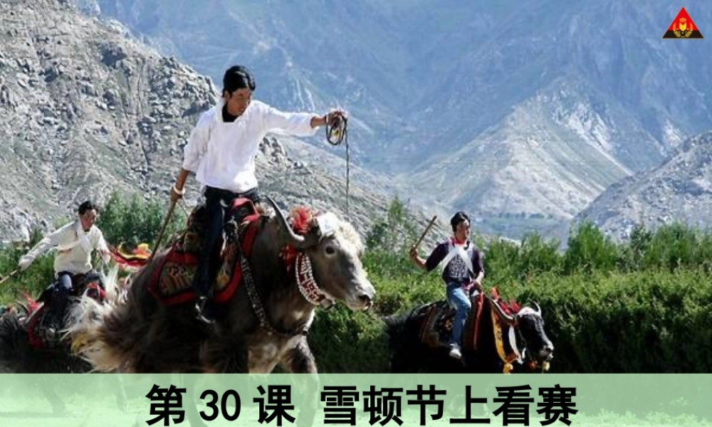 雪顿节上看赛牛