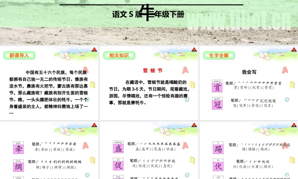 雪顿节上看赛牛