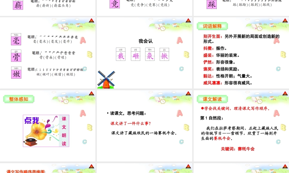 雪顿节上看赛牛