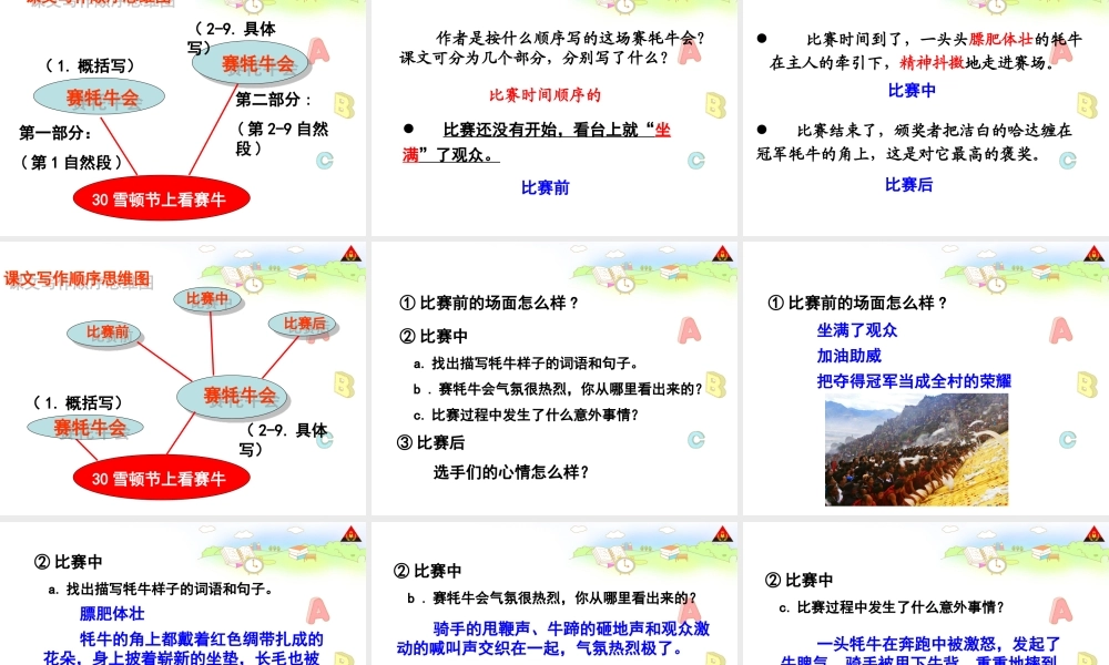 雪顿节上看赛牛