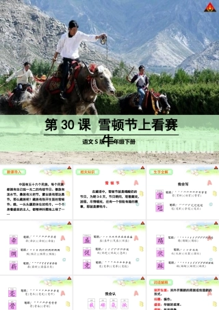 雪顿节上看赛牛