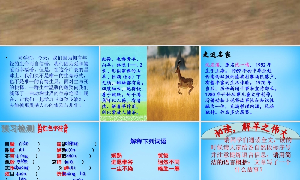 中学七年级语文下册 27 斑羚飞渡课件 新人教版 课件