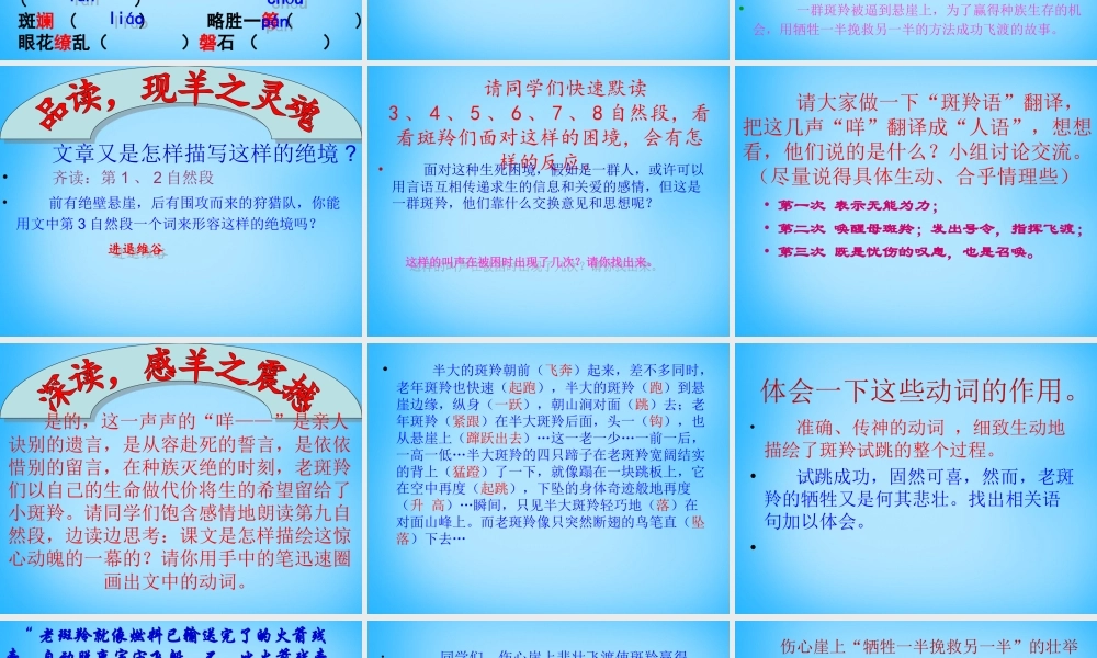 中学七年级语文下册 27 斑羚飞渡课件 新人教版 课件