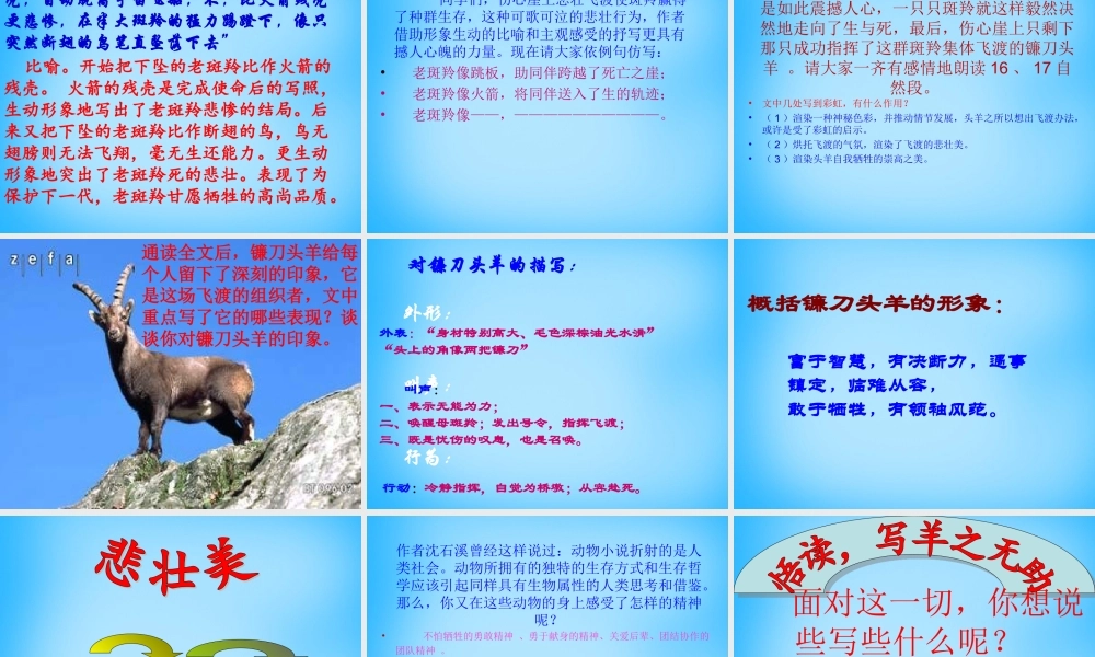 中学七年级语文下册 27 斑羚飞渡课件 新人教版 课件