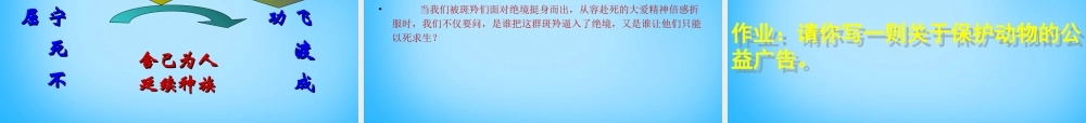 中学七年级语文下册 27 斑羚飞渡课件 新人教版 课件
