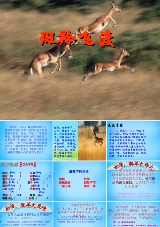 中学七年级语文下册 27 斑羚飞渡课件 新人教版 课件