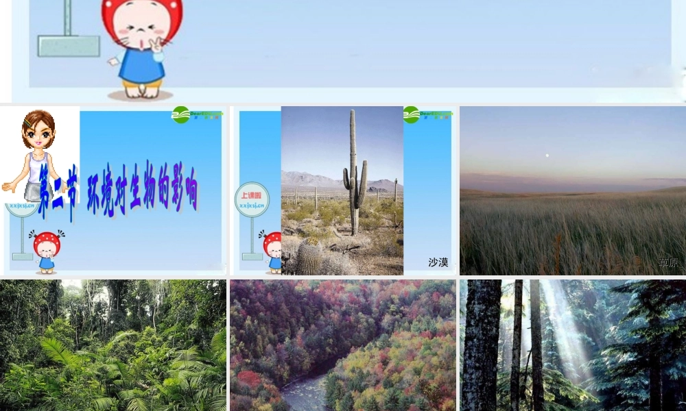 七年级生物上册 环境对生物的影响课件 人教新课标版 课件