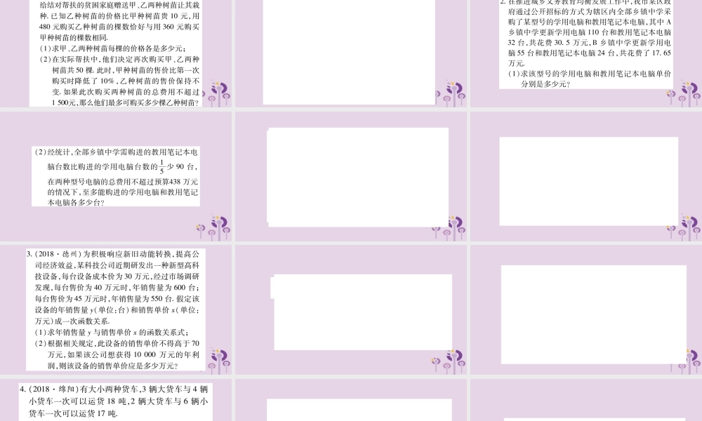 中考数学复习 第二轮 中档题突破 专项突破4 实际应用与方案设计习题课件
