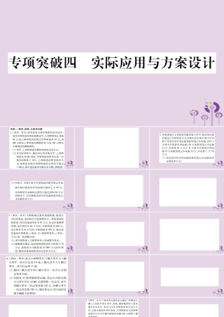中考数学复习 第二轮 中档题突破 专项突破4 实际应用与方案设计习题课件