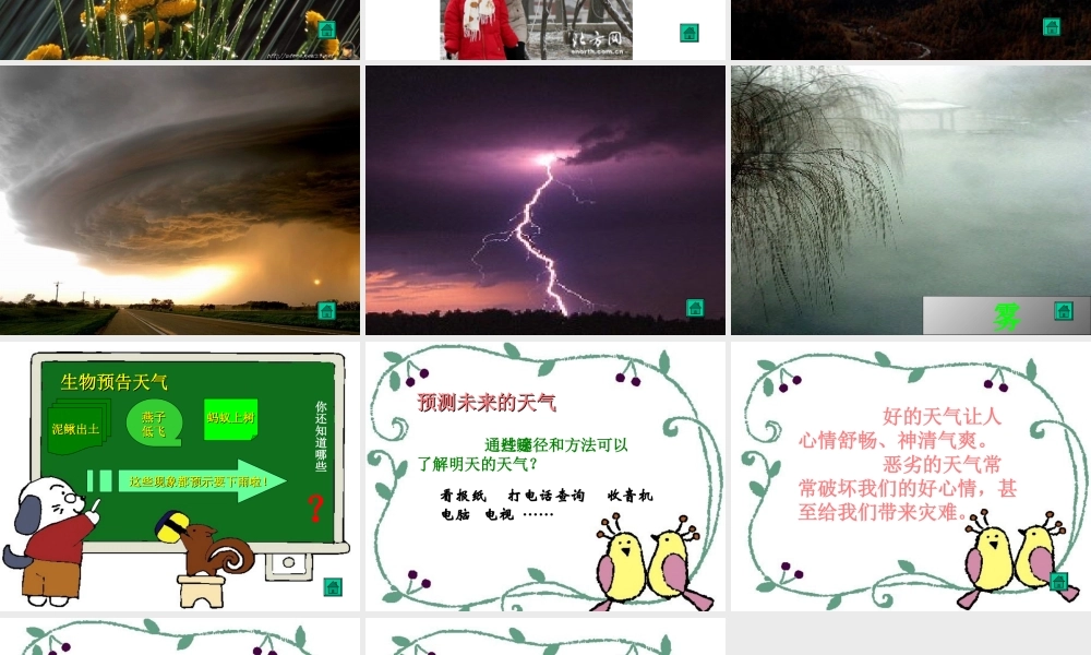 《我们关心天气》教学课件1