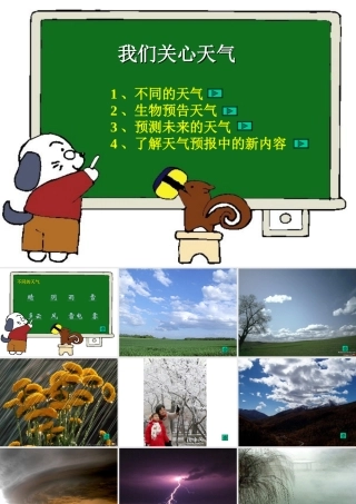 《我们关心天气》教学课件1