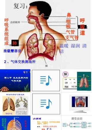 发生在肺内的气体交换3