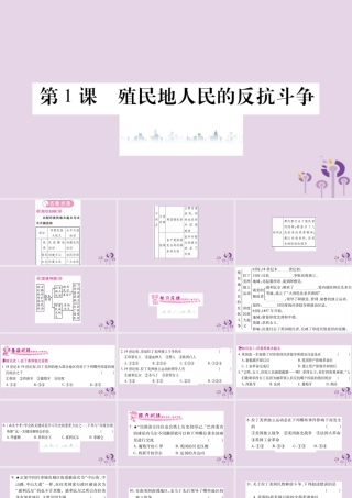 九年级历史下册 第一单元 殖民地人民的反抗与资本主义制度的扩展 第1课 殖民地人民的反抗斗争习题课件 新人教版 课件